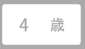 4歳誕生日プレゼント